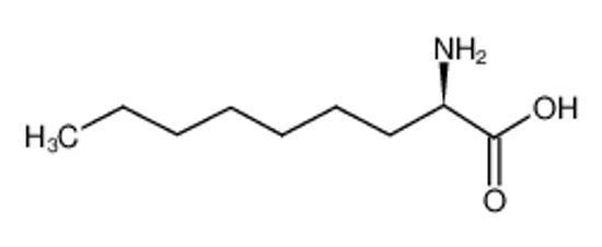 Picture of (2R)-2-aminononanoic acid