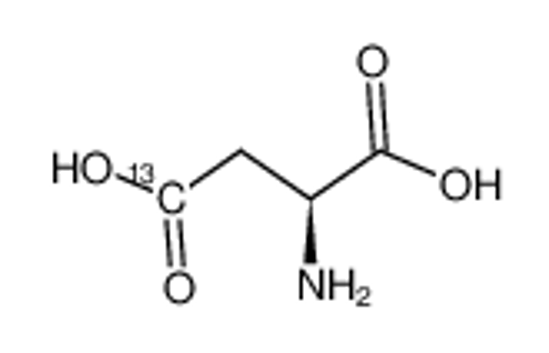 Изображение (2S)-2-aminobutanedioic acid