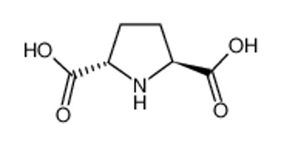 Picture of (2S,5S)-pyrrolidine-2,5-dicarboxylic acid