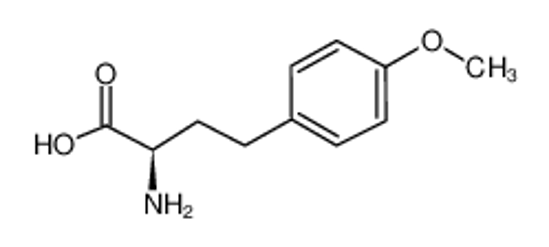 Imagem de (2R)-2-amino-4-(4-methoxyphenyl)butanoic acid