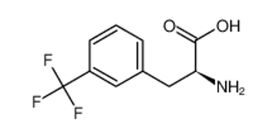 Imagem de D-Phenylalanine,3-(trifluoromethyl)-, hydrochloride (9CI)