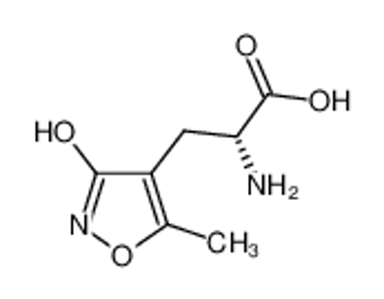 Изображение (2R)-2-amino-3-(5-methyl-3-oxo-1,2-oxazol-4-yl)propanoic acid