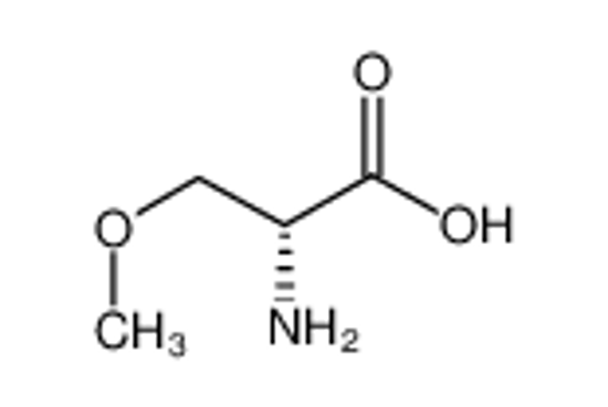 Picture of (R)-2-Amino-3-methoxypropanoic acid