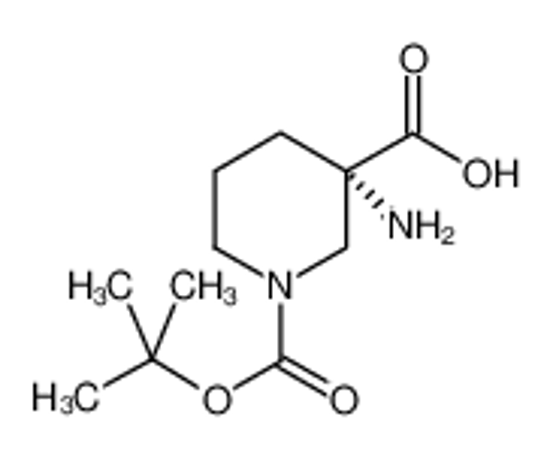 Picture of (3S)-3-amino-1-[(2-methylpropan-2-yl)oxycarbonyl]piperidine-3-carboxylic acid