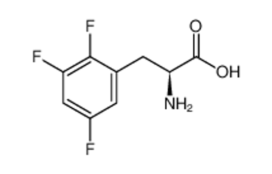 Picture of (2S)-2-amino-3-(2,3,5-trifluorophenyl)propanoic acid