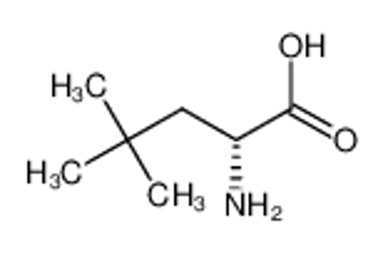 Picture of (R)-2-Amino-4,4-dimethylpentanoic acid