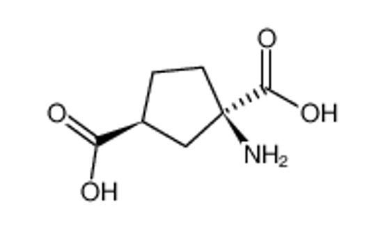 Picture of (1R,3S)-ACPD