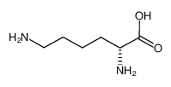Изображение D-lysine