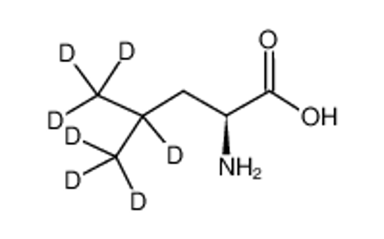 Picture of L-LEUCINE-D7