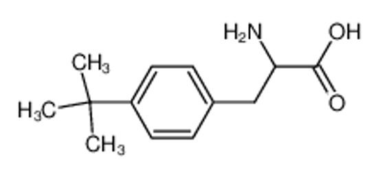 Picture of 2-amino-3-(4-tert-butylphenyl)propanoic acid
