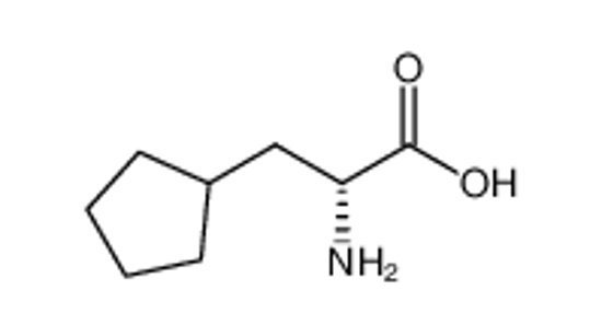 Imagem de (2R)-2-amino-3-cyclopentylpropanoic acid