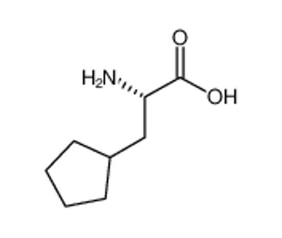 Picture of (2S)-2-amino-3-cyclopentylpropanoic acid