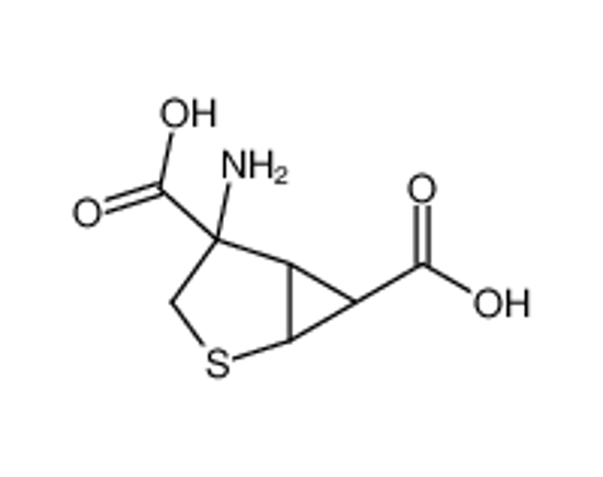 Imagem de (1R,4S,5S,6S)-4-Amino-2-thiabicyclo[3.1.0]hexane-4,6-dicarboxylic acid