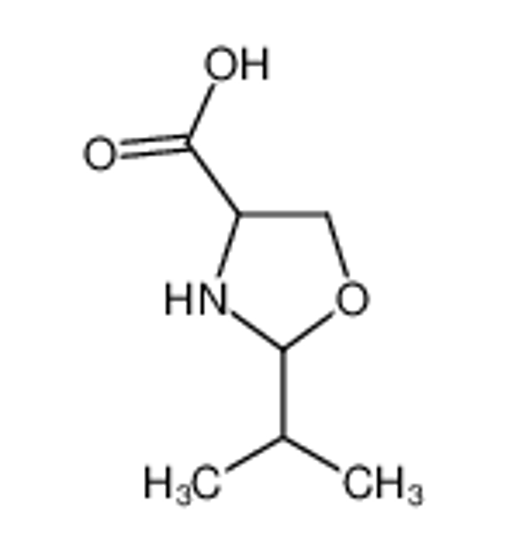 Изображение 2-Isopropyl-1,3-oxazolidine-4-carboxylic acid