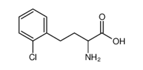 Picture of 2-amino-4-(2-chlorophenyl)butanoic acid