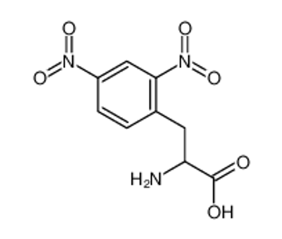 Изображение 2,4-Dinitrophenylalanine