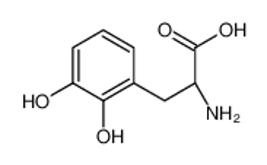 Picture of (2R)-2-amino-3-(2,3-dihydroxyphenyl)propanoic acid