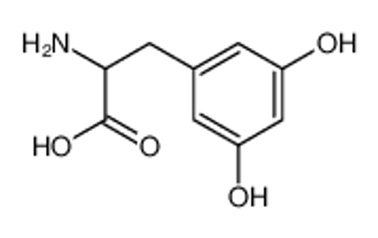 Picture of 2-amino-3-(3,5-dihydroxyphenyl)propanoic acid