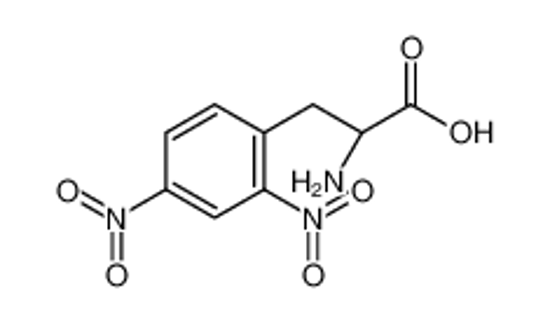 Picture of (2R)-2-amino-3-(2,4-dinitrophenyl)propanoic acid