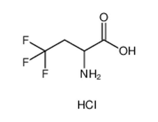 Picture of 2-Amino-4,4,4-trifluorobutanoic acid hydrochloride