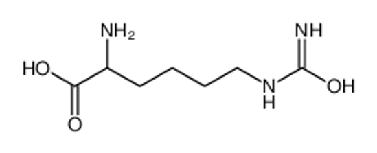 Picture of 2-amino-6-(carbamoylamino)hexanoic acid