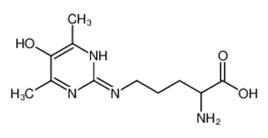 Picture of (2S)-2-amino-5-[(5-hydroxy-4,6-dimethylpyrimidin-2-yl)amino]pentanoic acid