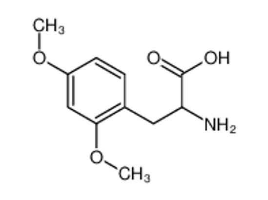 Picture of 2-amino-3-(2,4-dimethoxyphenyl)propanoic acid