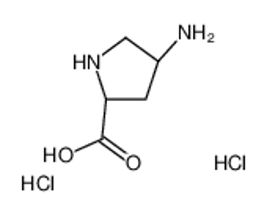 Изображение (4R)-4-Amino-D-proline dihydrochloride