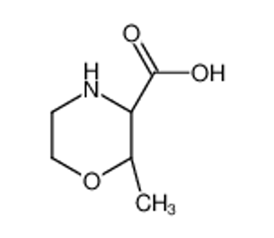 Изображение (2S,3R)-2-methylmorpholine-3-carboxylic acid
