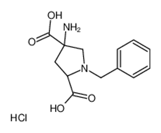 Imagem de (2R,4R)-4-amino-1-benzylpyrrolidine-2,4-dicarboxylic acid,hydrochloride