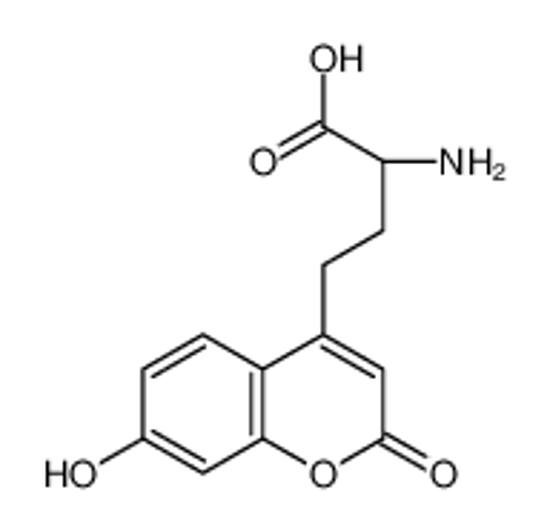 Imagem de (2R)-2-amino-4-(7-hydroxy-2-oxochromen-4-yl)butanoic acid