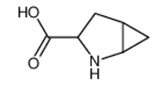 Изображение (1S,3S,5S)-2-azabicyclo[3.1.0]hexane-3-carboxylic acid
