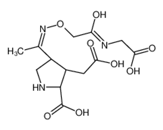 Picture of (2S,3S,4R)-3-(carboxymethyl)-4-[(E)-N-[2-(carboxymethylamino)-2-oxoethoxy]-C-methylcarbonimidoyl]pyrrolidine-2-carboxylic acid
