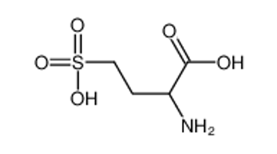 Picture of 2-Amino-4-sulfobutanoic acid