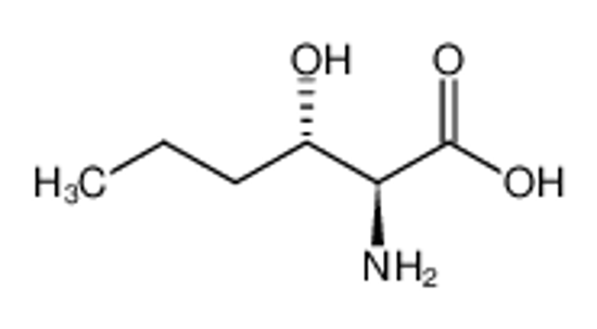 Изображение (2S,3S)-2-amino-3-hydroxy-hexanoic acid
