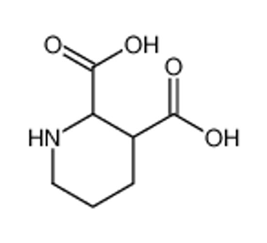 Picture of 2,3-Piperidinedicarboxylic acid