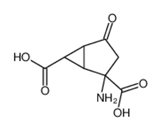 Imagem de (1R,2R,5S,6S)-2-Amino-4-oxobicyclo[3.1.0]hexane-2,6-dicarboxylic acid