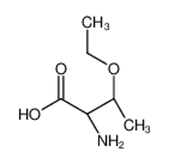 Picture of O-Ethyl-L-allothreonine