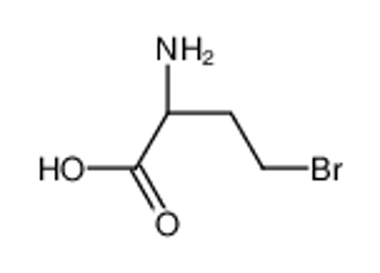 Imagem de (2R)-2-Amino-4-bromobutanoic acid