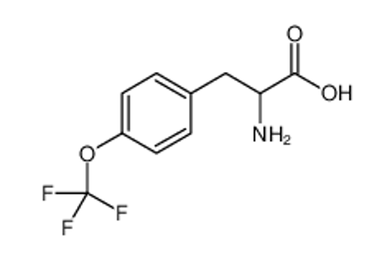 Picture of 2-amino-3-[4-(trifluoromethoxy)phenyl]propanoic acid