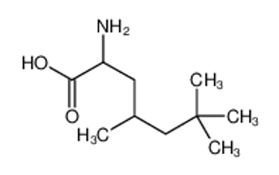 Picture of 2-Amino-4,6,6-trimethylheptanoic acid