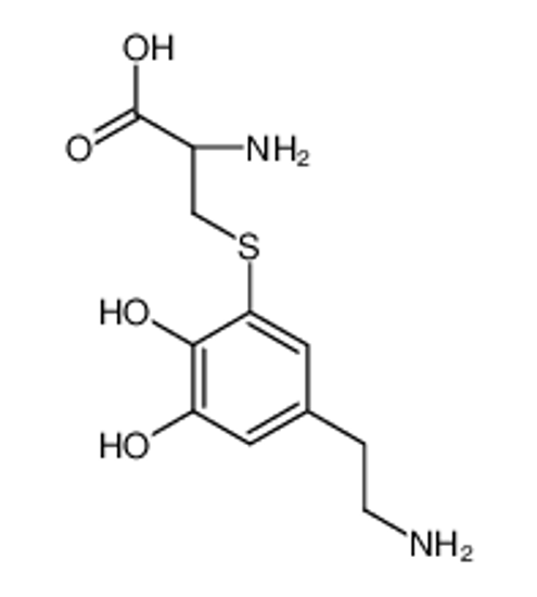 Imagem de (2R)-2-amino-3-[5-(2-aminoethyl)-2,3-dihydroxyphenyl]sulfanylpropanoic acid