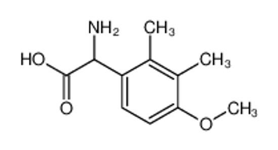 Picture of 2-amino-2-(4-methoxy-2,3-dimethylphenyl)acetic acid