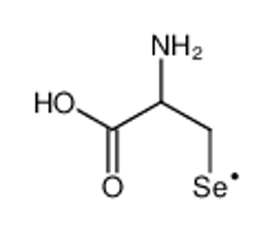 Picture of (2-Amino-2-carboxyethyl)selanyl (non-preferred name)