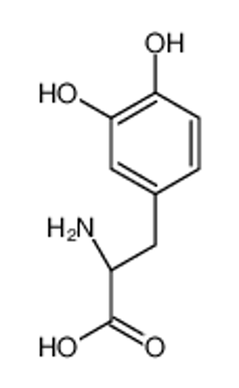 Picture of (2S)-2-Ammonio-3-(3,4-dihydroxyphenyl)propanoate