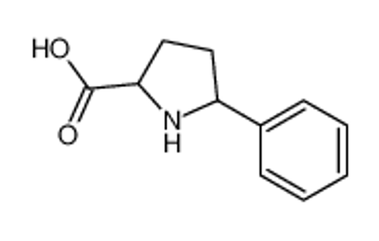 Picture of (2S,5S)-5-phenylpyrrolidine-2-carboxylic acid
