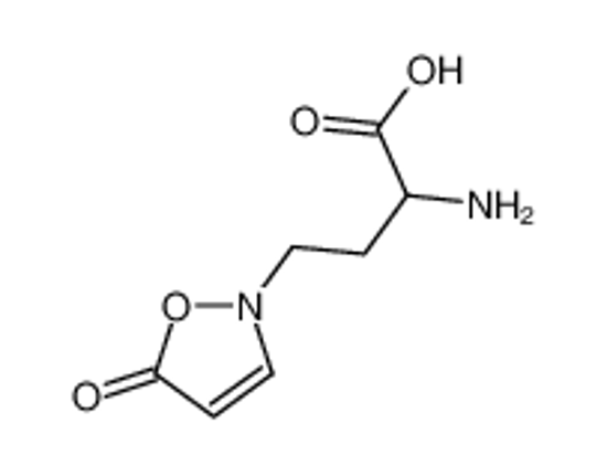Imagem de 2-Amino-4-(5-oxo-1,2-oxazol-2(5H)-yl)butanoic acid