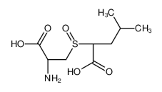 Изображение 2-{[(2R)-2-Amino-2-carboxyethyl]sulfinyl}-4-methylpentanoic acid