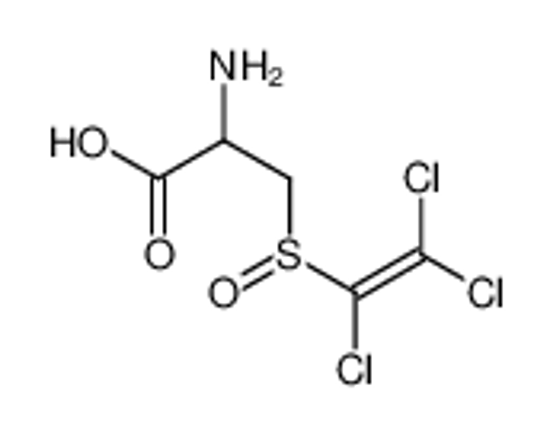 Picture of (2R)-2-amino-3-[(S)-1,2,2-trichloroethenylsulfinyl]propanoic acid