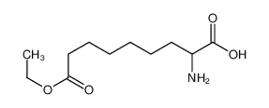 Picture of 2-Amino-9-ethoxy-9-oxononanoic acid